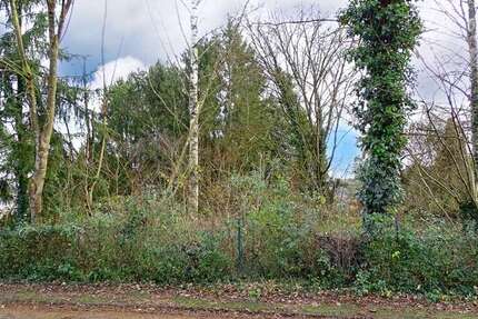 Grundstück Leun - 119.000&euro; | Angebot:18137189