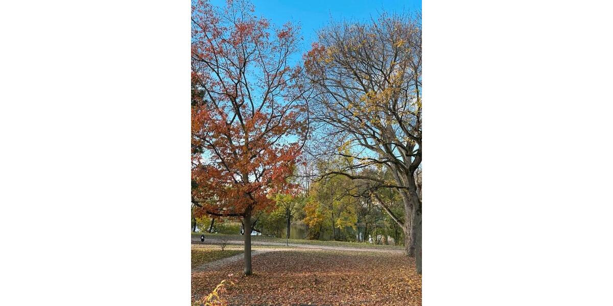 Etagenwohnung Gießen Allendorf - 1 Zimmer, 23 m&sup2;, 450&euro; | Angebot:26039097