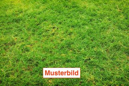 Grundstück Bad Nauheim - 299.000&euro; | Angebot:25997263