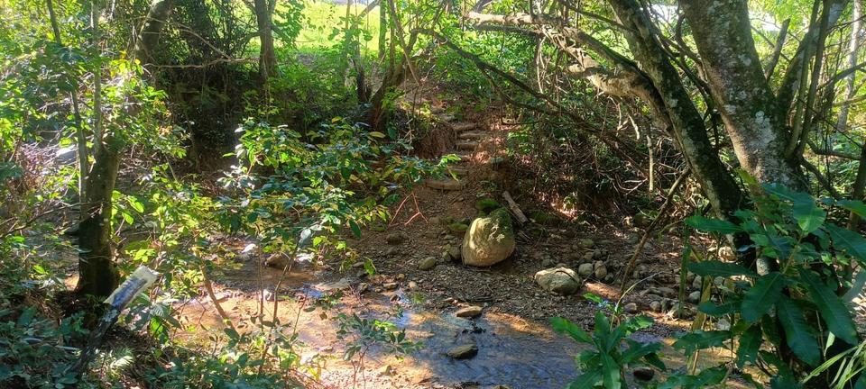 Einfamilienhaus Gießen Anneröder Siedlung - 70.000&euro; | Angebot:21249000