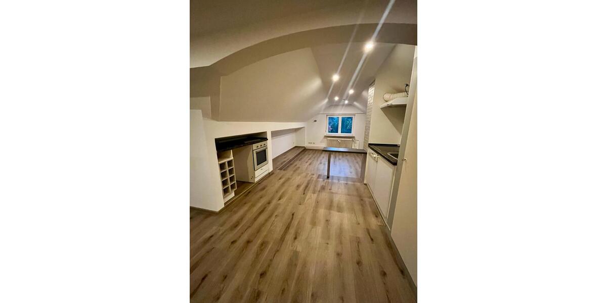 Dachgeschoßwohnung Braunfels - 1 Zimmer, 67 m&sup2;, 690&euro; | Angebot:25838008