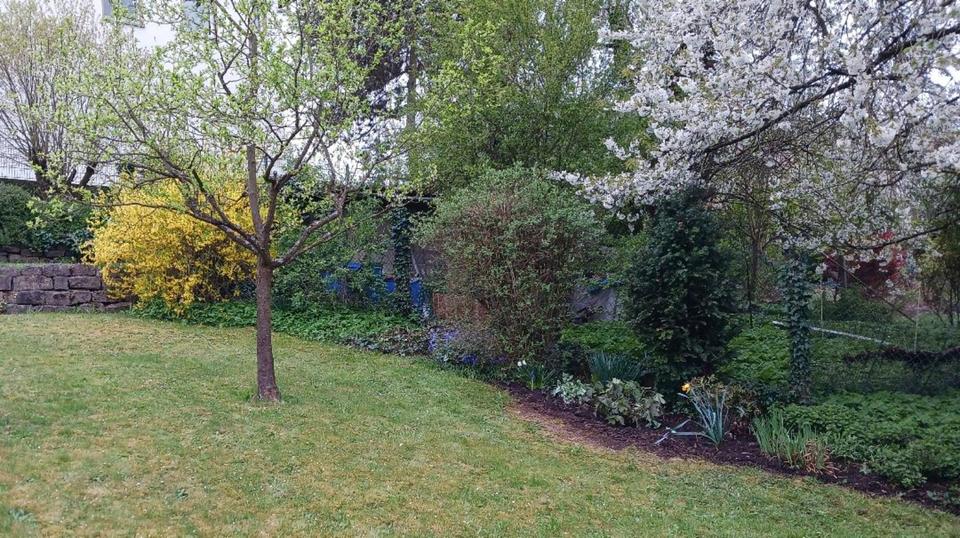 Einfamilienhaus Wettenberg - 5 Zimmer, 140 m&sup2;, 390.000&euro; | Angebot:25084788