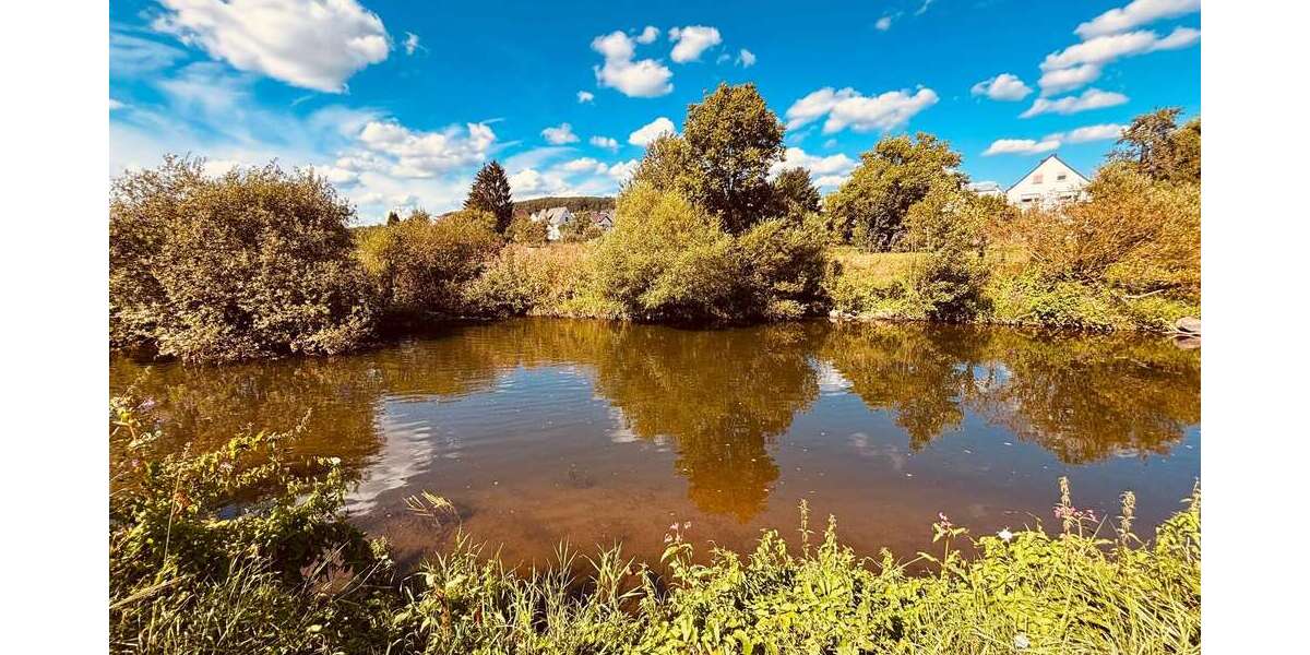Einmalig: Großes Anwesen mit vielen Möglichkeiten im Grünen - Anwesen Ehringshausen | Angebot:27095964
