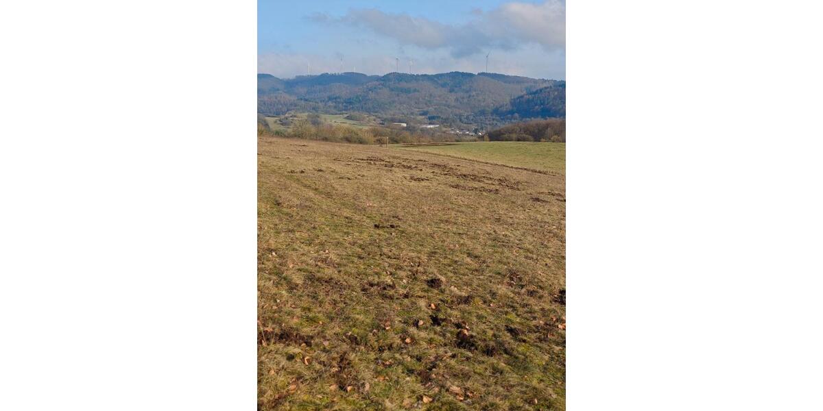 Grundstück Bischoffen - 6.500&euro; | Angebot:25303603