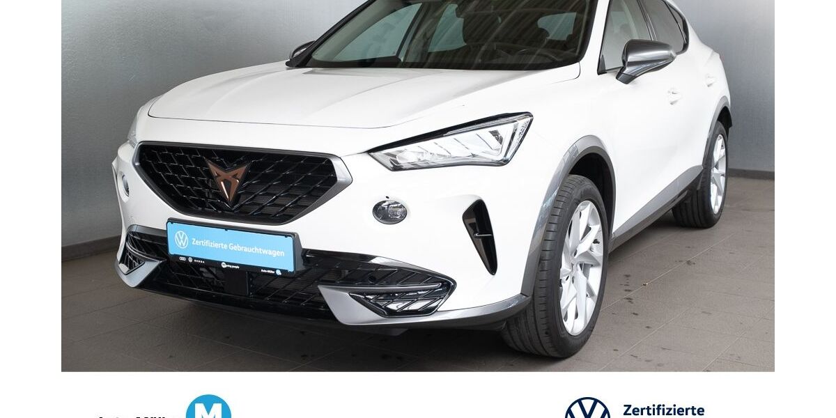 Cupra Formentor 16.653 km 20.980 &euro; Hüttenberg-Rechtenbach 35625