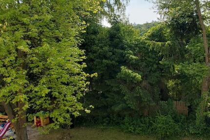 Wohnung Marburg Marbach - 5.5 Zimmer, 130 m&sup2;, 1.400&euro; | Angebot:26690856