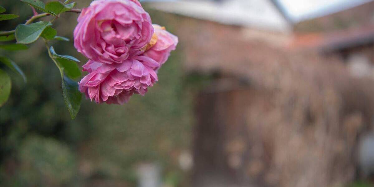 Einfamilienhaus Grävenwiesbach Hundstadt - 8 Zimmer, 165 m&sup2;, 495.000&euro; | Angebot:25985869