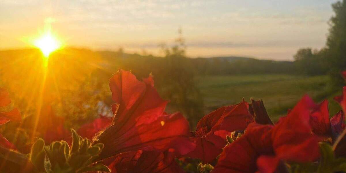 Bauernhaus, Landhaus Gladenbach Mornshausen - 1.200.000&euro; | Angebot:25937593