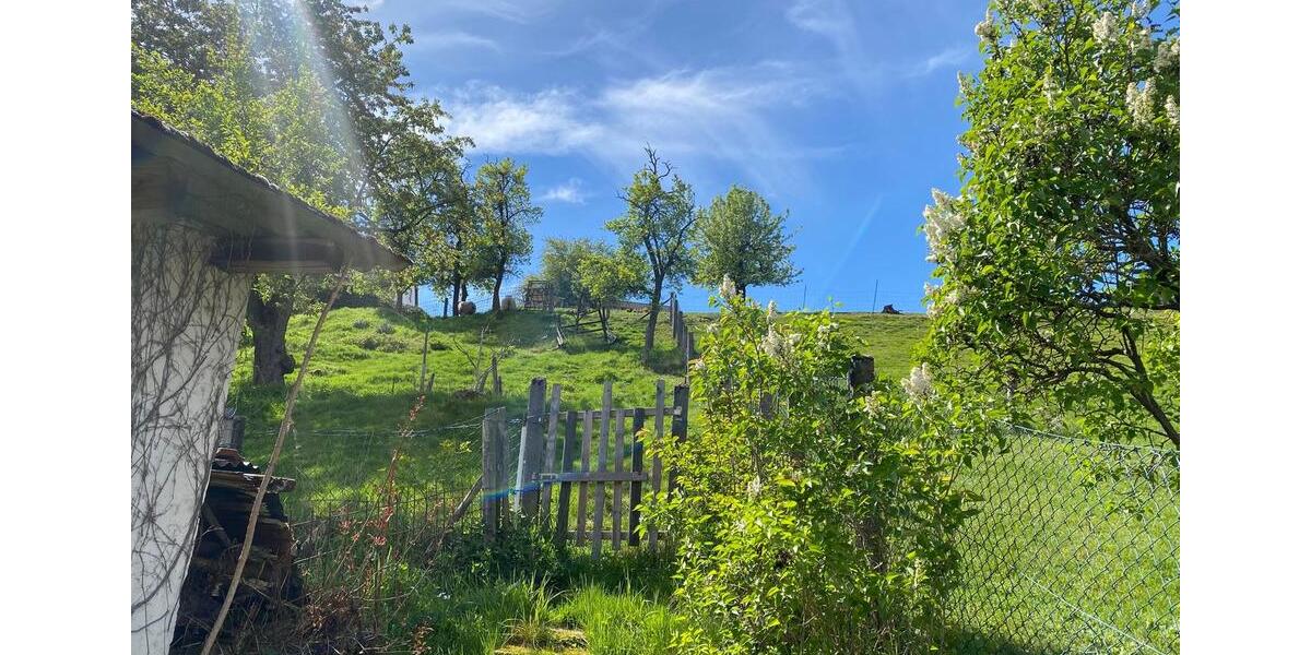 Hochparterre Marburg Marbach - 4 Zimmer, 109 m&sup2;, 452&euro; | Angebot:26660244