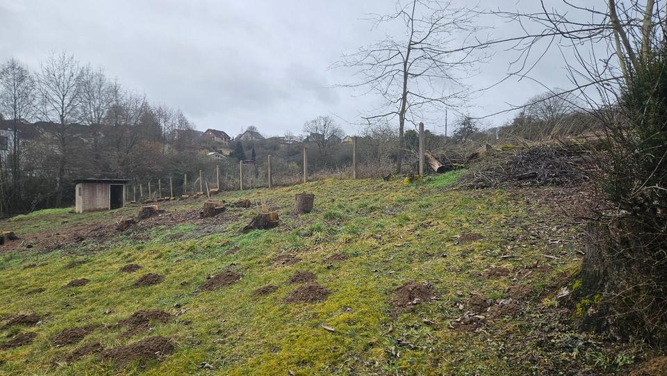 Terrassenwohnung Wetzlar - 2 Zimmer, 96 m&sup2;, 890&euro; | Angebot:25207215