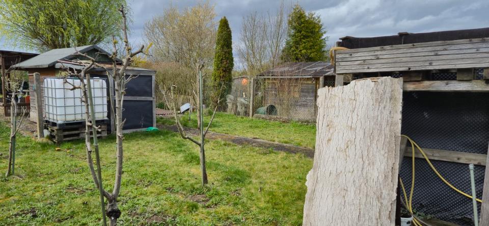 Einfamilienhaus Friedberg (Hessen) - 40.000&euro; | Angebot:26035142