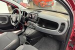 Fiat Panda Red 1.0 Hybrid 1.Hand Neuwertig! 1.600 km 14.220 &euro; Lich 35423