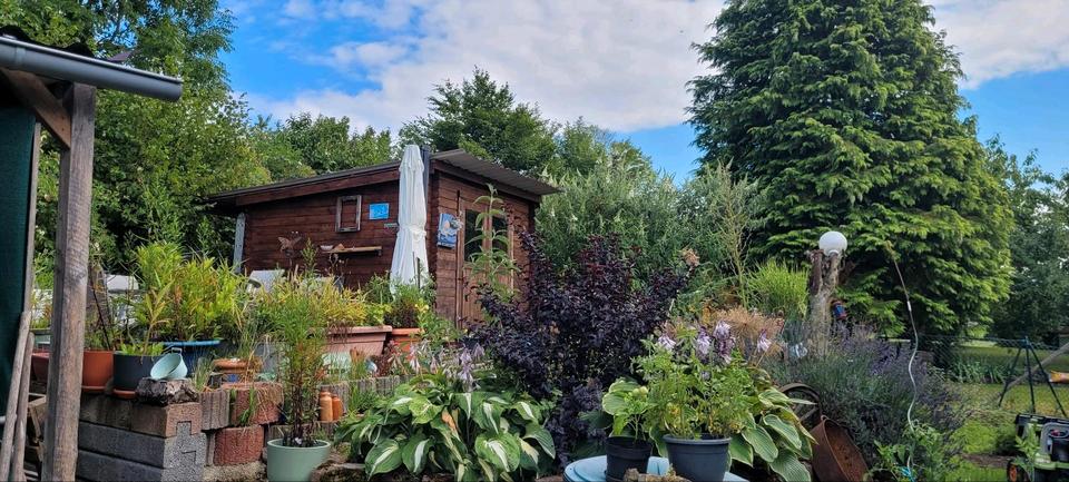 Mehrfamilienhaus, Wohnhaus Mücke - 17 Zimmer, 300 m&sup2;, 319.000&euro; | Angebot:23122317