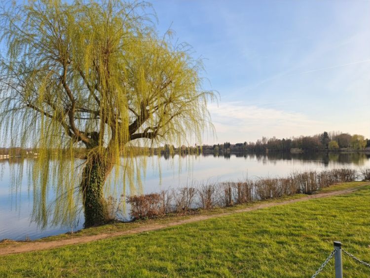 Juwel am See – traumhaftes Feriendomizil - Ferienhaus Hungen Inheiden | Angebot:26443413