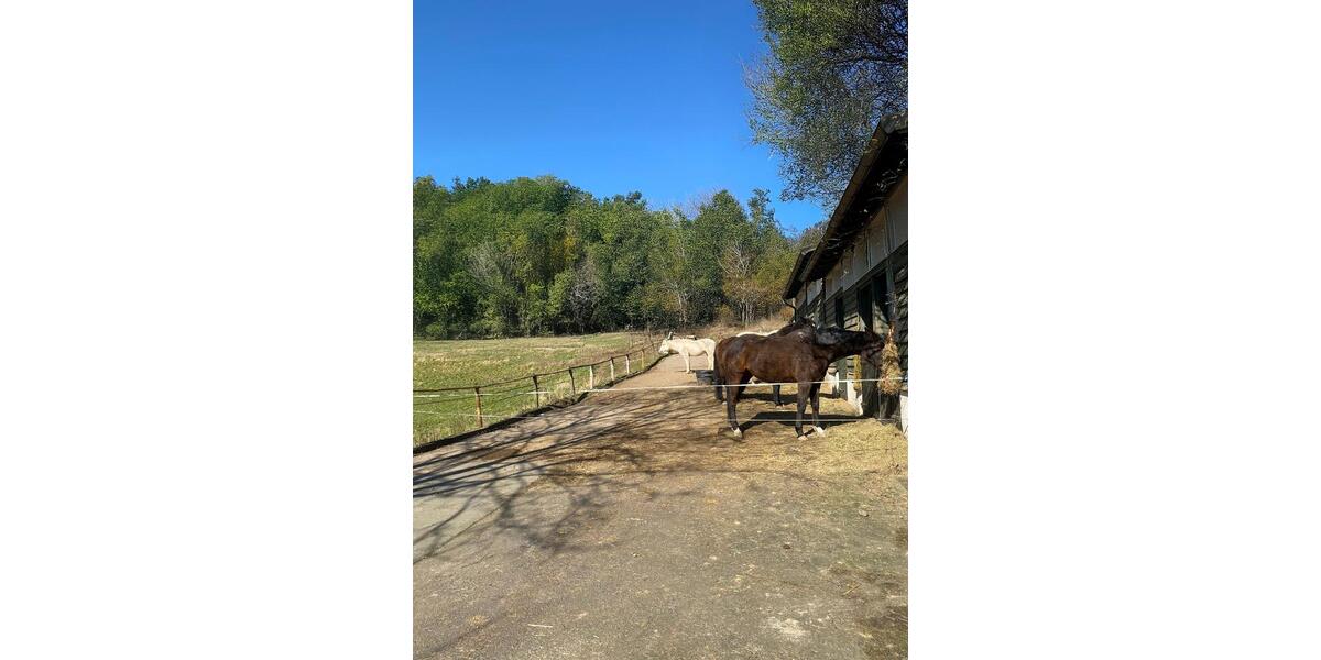 Dachgeschoßwohnung Marburg - 3 Zimmer, 119 m&sup2;, 2.450&euro; | Angebot:25880812