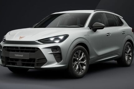 Cupra Terramar 6.000 km 46.485 &euro; Pohlheim 35415