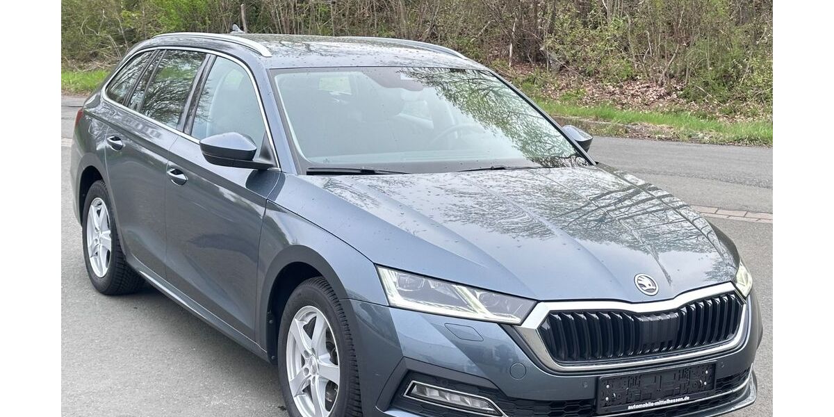Skoda Octavia 203.160 km 12.880 &euro; Langgöns 35428