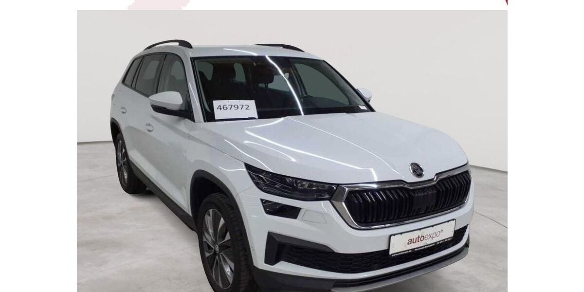 Skoda Kodiaq 177.054 km 20.090 &euro; Fernwald-Steinbach 35463