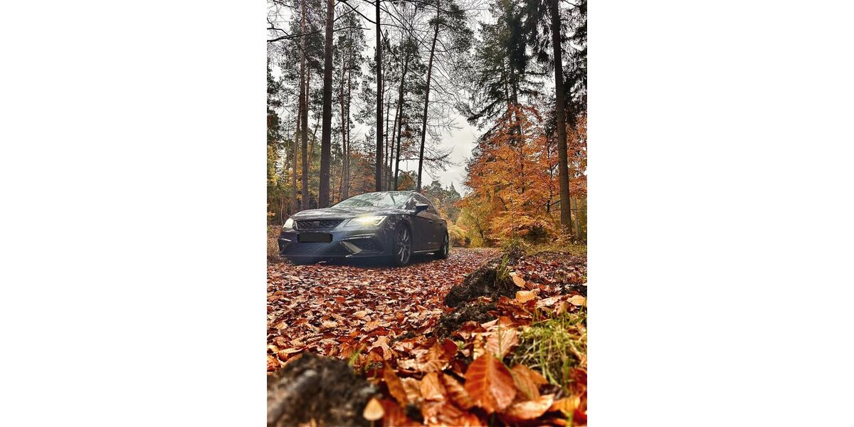 Seat Leon 125.000 km 30.000 &euro; Gladenbach 35075