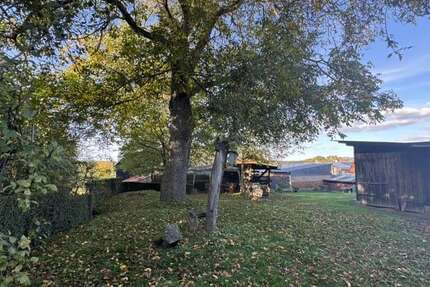 Haus Schöffengrund-Niederwetz Niederwetz - 11.5 Zimmer, 358 m&sup2;, 595.000&euro; | Angebot:25805143