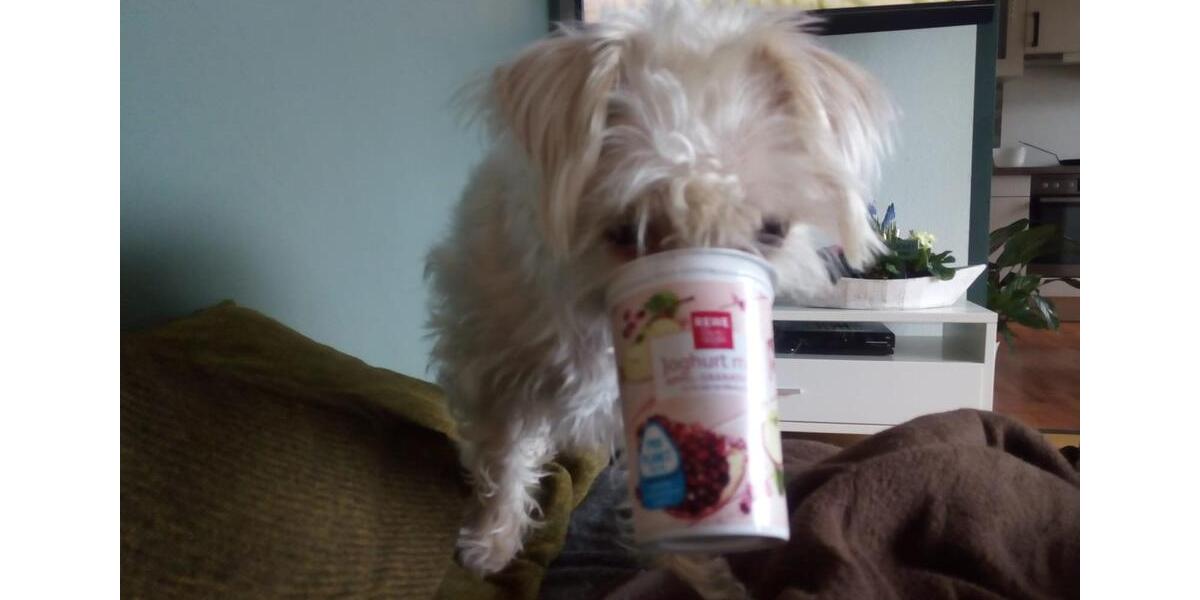 Etagenwohnung Ehringshausen - 3 Zimmer, 103 m&sup2;, 1.050&euro; | Angebot:25416527