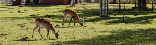 Freizeitpark Lochmühle Wehrheim Taunus