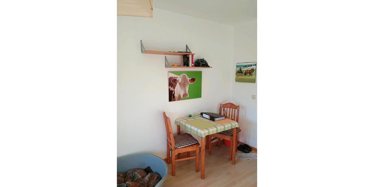 Erdgeschoßwohnung Rockenberg - 1 Zimmer, 26 m&sup2;, 450&euro; | Angebot:25368743