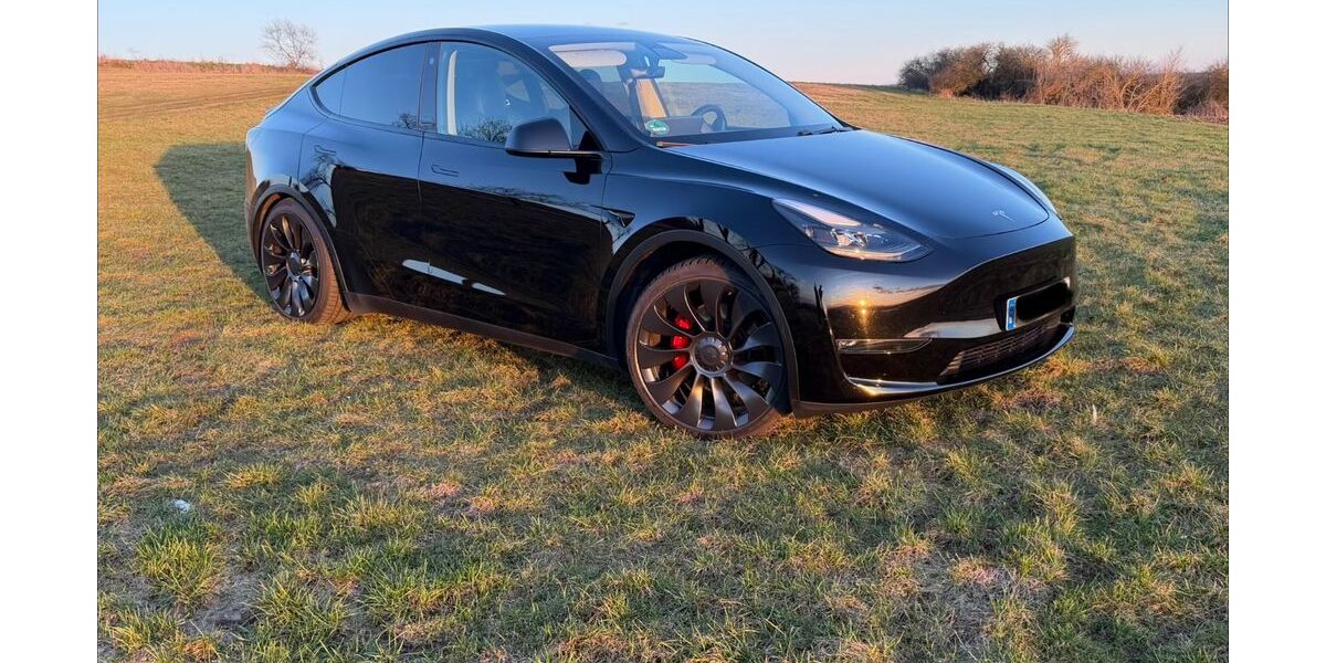 Tesla Model Y 61.700 km 39.600 &euro; Echzell 61209