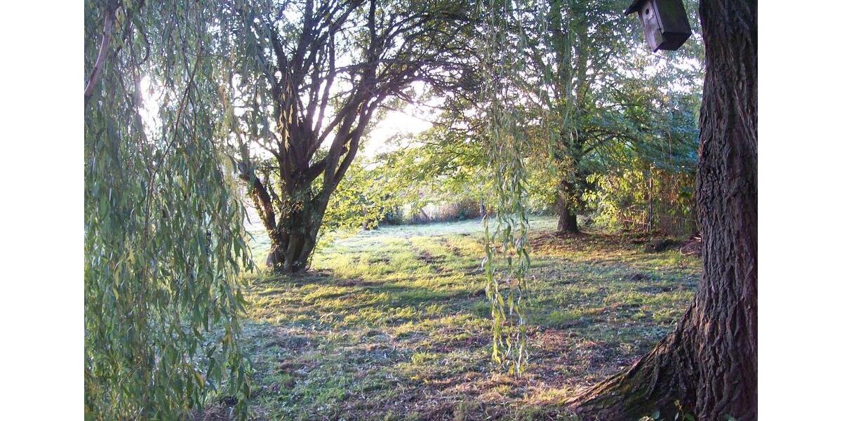 Erdgeschoßwohnung Solms - 1 Zimmer, 24 m&sup2;, 260&euro; | Angebot:25971736