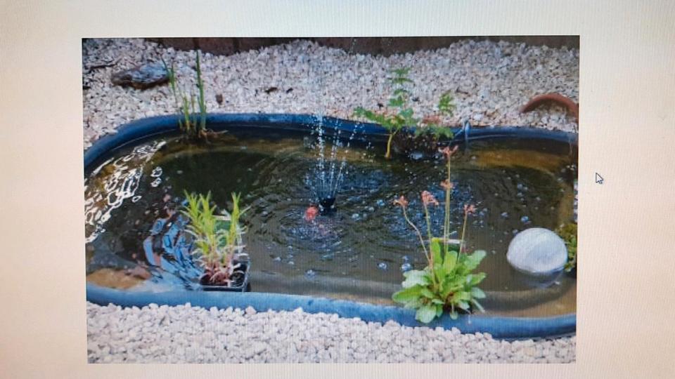 Dachgeschoßwohnung Butzbach - 3 Zimmer, 65 m&sup2;, 700&euro; | Angebot:25099799