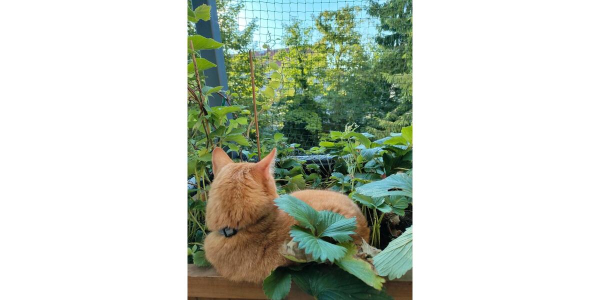 Etagenwohnung Pohlheim - 2.5 Zimmer, 75 m&sup2;, 925&euro; | Angebot:25701466