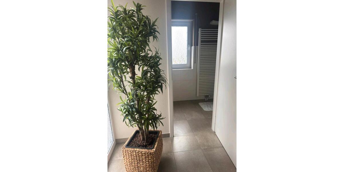 Gewerbeobjekt Hungen - 850&euro; | Angebot:25052699