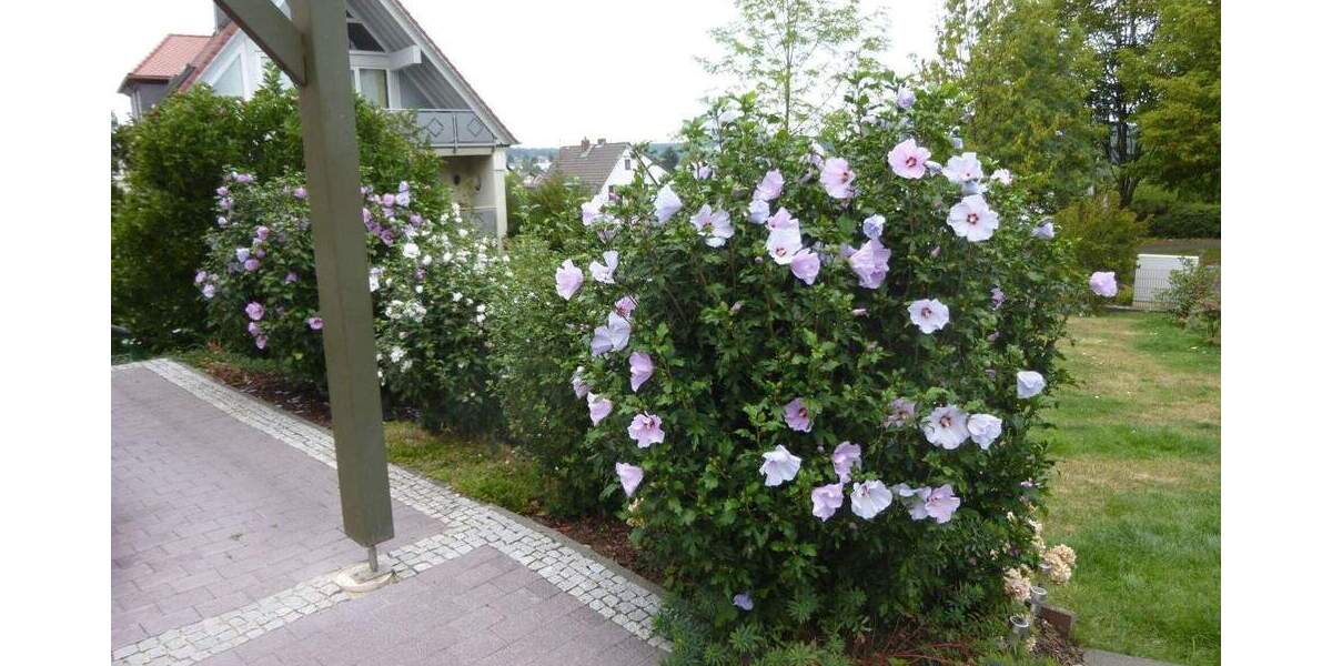 Einfamilienhaus Wettenberg / Krofdorf-Gleiberg Krofdorf-Gleiberg - 6 Zimmer, 159 m&sup2;, 575.000&euro; | Angebot:25746147