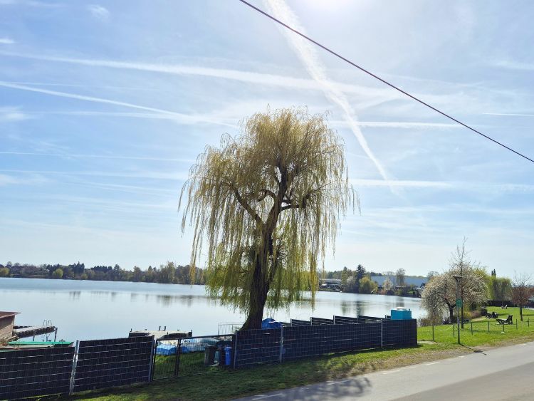 Juwel am See – traumhaftes Feriendomizil - Ferienhaus Hungen Inheiden | Angebot:26443413