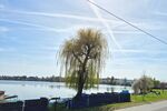 Juwel am See – traumhaftes Feriendomizil - Ferienhaus Hungen Inheiden | Angebot:26443413