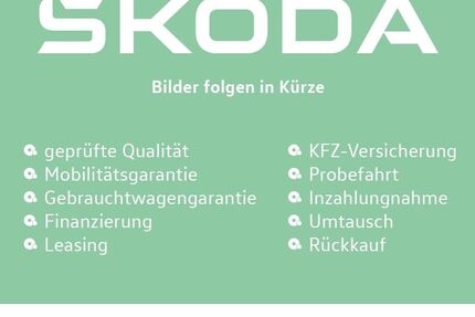 Skoda Fabia 5.000 km 19.880 &euro; Wetzlar 35578