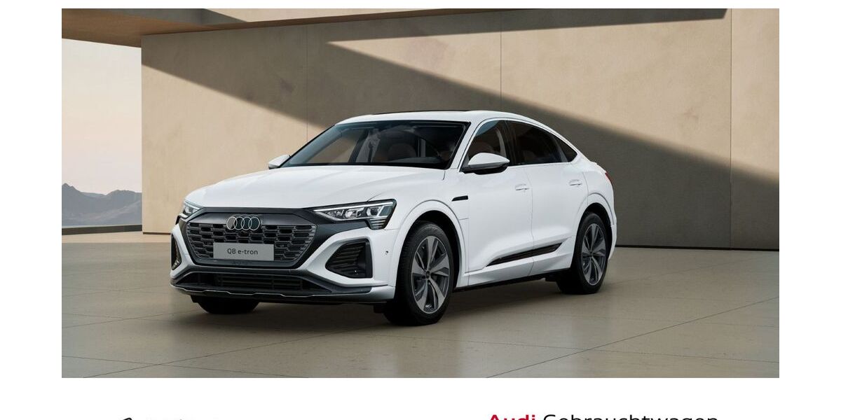 Audi Q8 24.390 km 45.970 &euro; Wetzlar 35576