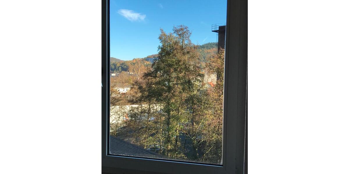 Etagenwohnung Marburg Biegenviertel - 2.5 Zimmer, 53 m&sup2;, 890&euro; | Angebot:24874023