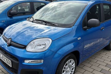 Fiat Panda 6.000 km 14.495 &euro; Pohlheim 35415