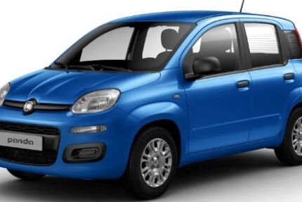 Fiat Panda 6.000 km 14.495 &euro; Pohlheim 35415