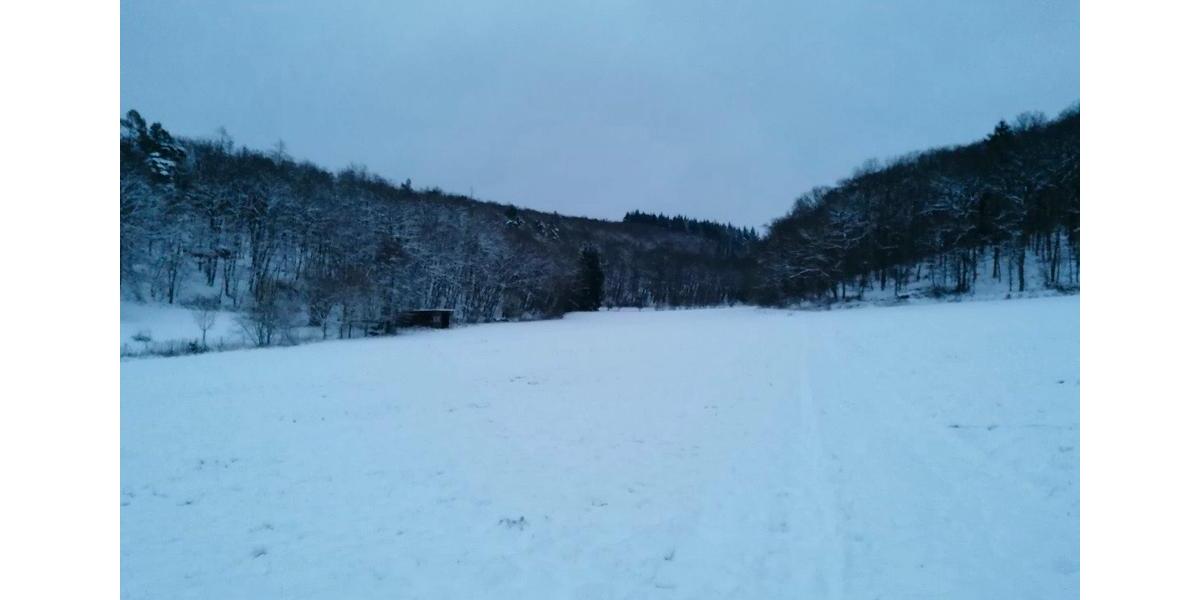 Bauernhaus, Landhaus Waldsolms - 9 Zimmer, 280 m&sup2;, 950.000&euro; | Angebot:25332828