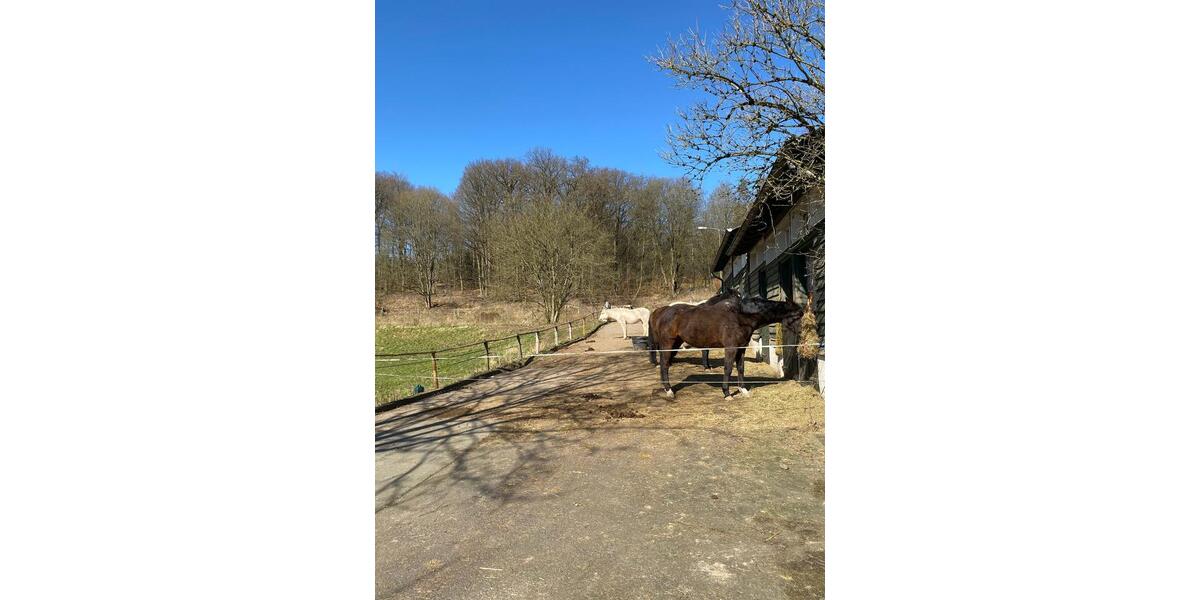 Maisonettenwohnung Marburg - 4 Zimmer, 146 m&sup2;, 2.950&euro; | Angebot:25881205