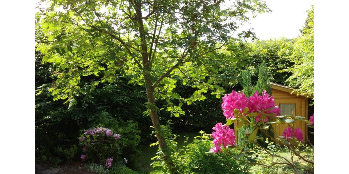 Einfamilienhaus Usingen - 7 Zimmer, 130 m&sup2;, 287.908&euro; | Angebot:9302287