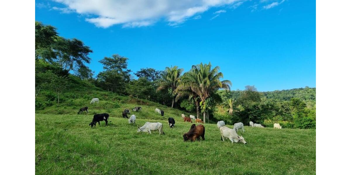 Einfamilienhaus Gießen Anneröder Siedlung - 70.000&euro; | Angebot:21249000