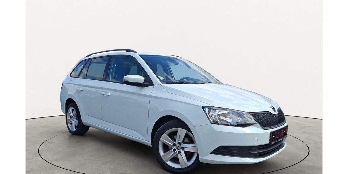 Skoda Fabia 79.100 km 9.150 &euro; Friedberg 61169
