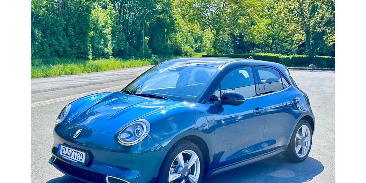 ORA Funky Cat 27.187 km 17.800 &euro; Langgöns 35428