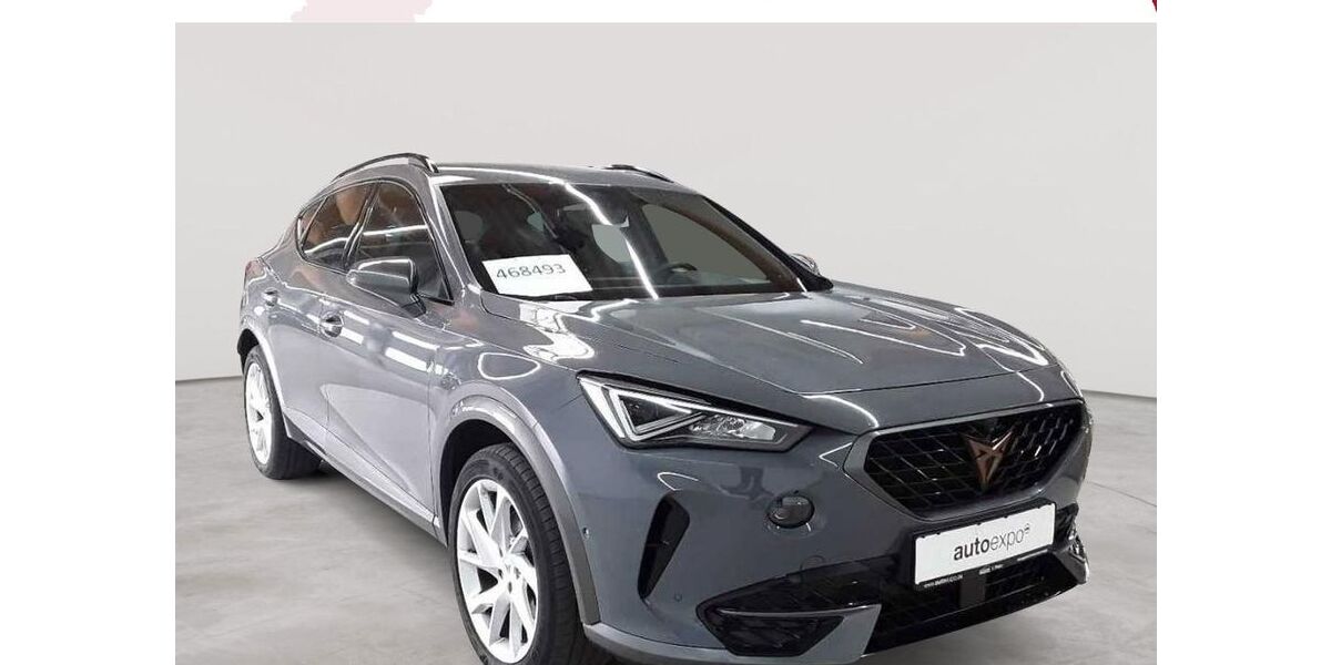 Cupra Formentor 140.034 km 20.190 &euro; Fernwald-Steinbach 35463