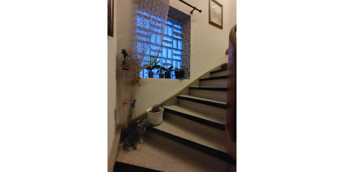 Einfamilienhaus Waldsolms - 5 Zimmer, 100 m&sup2;, 354.000&euro; | Angebot:24552424