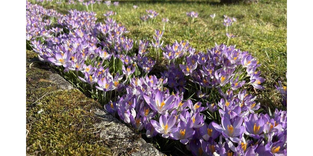 Einfamilienhaus Fronhausen / Oberwalgern Oberwalgern - 6 Zimmer, 141 m&sup2;, 249.900&euro; | Angebot:25775621