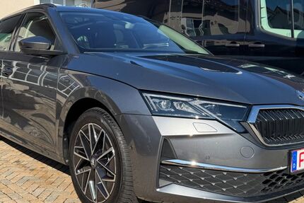 Skoda Octavia 14.900 km 30.990 &euro; Münzenberg 35516